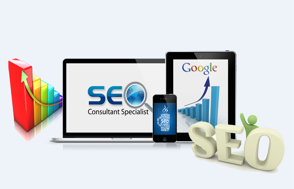 SEO Trainings in delhi and india